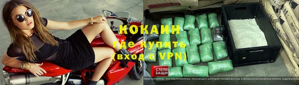 шишки Абаза