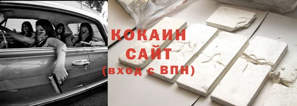шишки Абаза