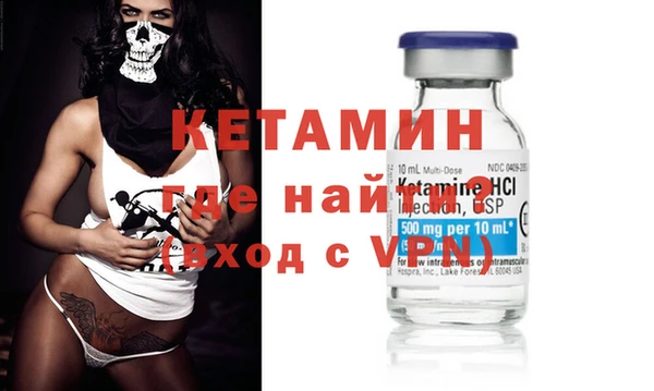 шишки Абаза