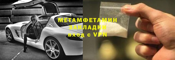 шишки Абаза