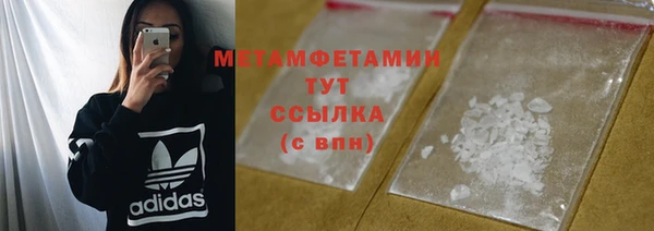 шишки Абаза