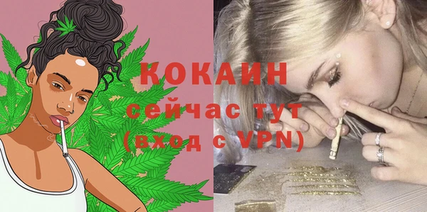 шишки Абаза