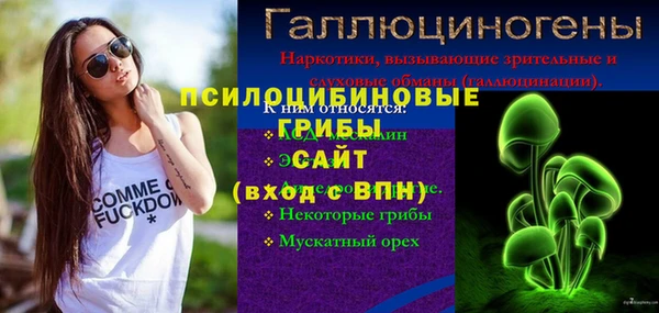 МДПВ Абинск