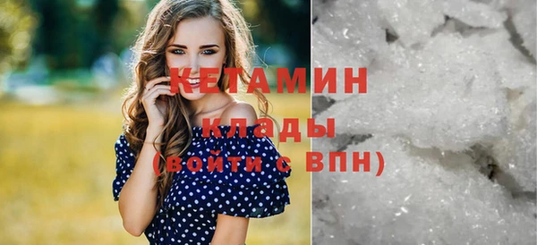 шишки Абаза