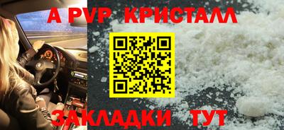 индика Донской