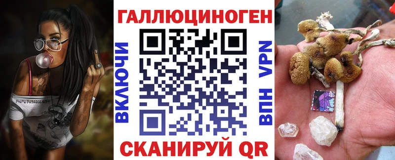 Галлюциногенные грибы Psilocybe  Лабинск 